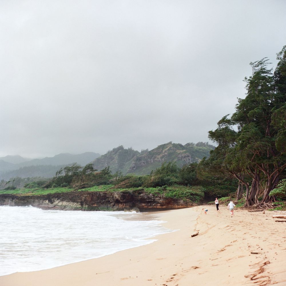 Scenic beach landscape with sandy shore and lush tropical vegetation along the coastline on a misty overcast day.
