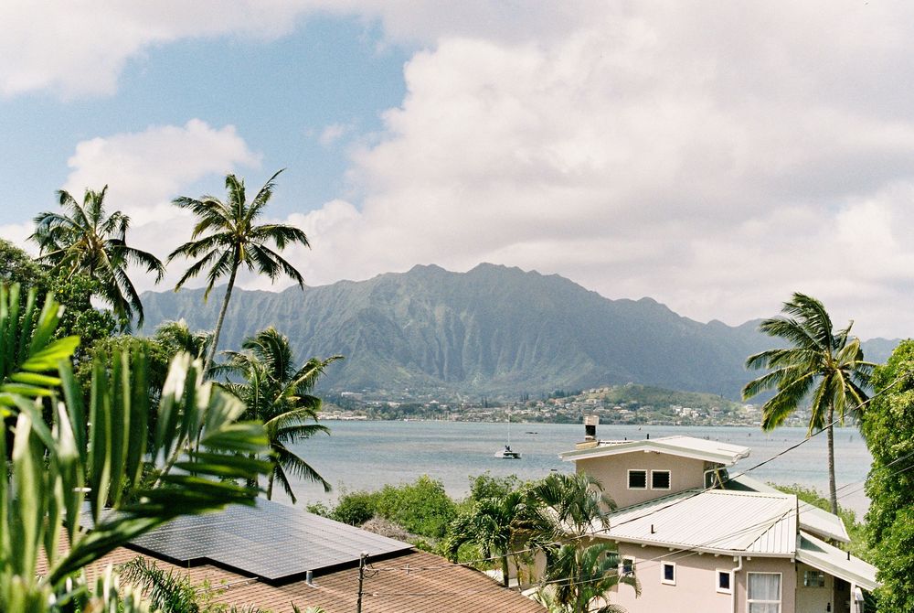 Scenic Hawaiian mountainscape with palm trees and white houses dotted along the lush tropical coastline.