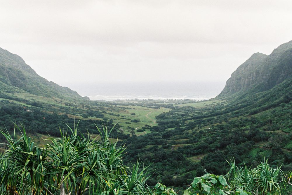 A panoramic mountain landscape with lush green vegetation and misty peaks stretches across multiple connected images.