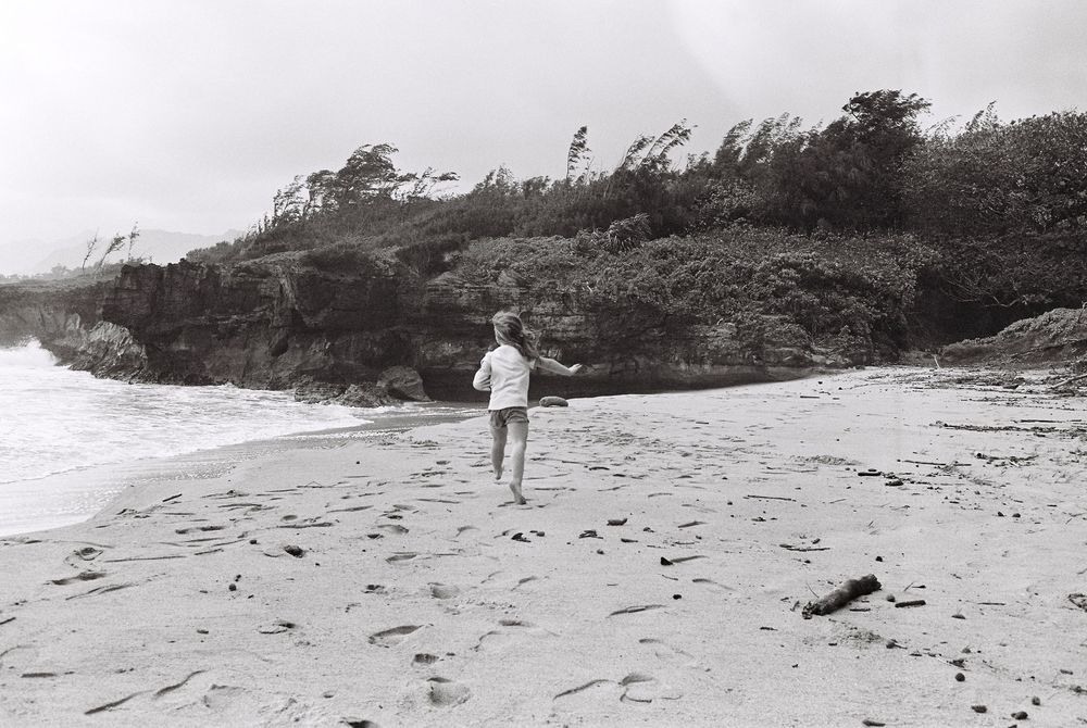 A figure stands alone on a windswept beach with palm trees bending in the breeze in this vintage black and white photograph.
