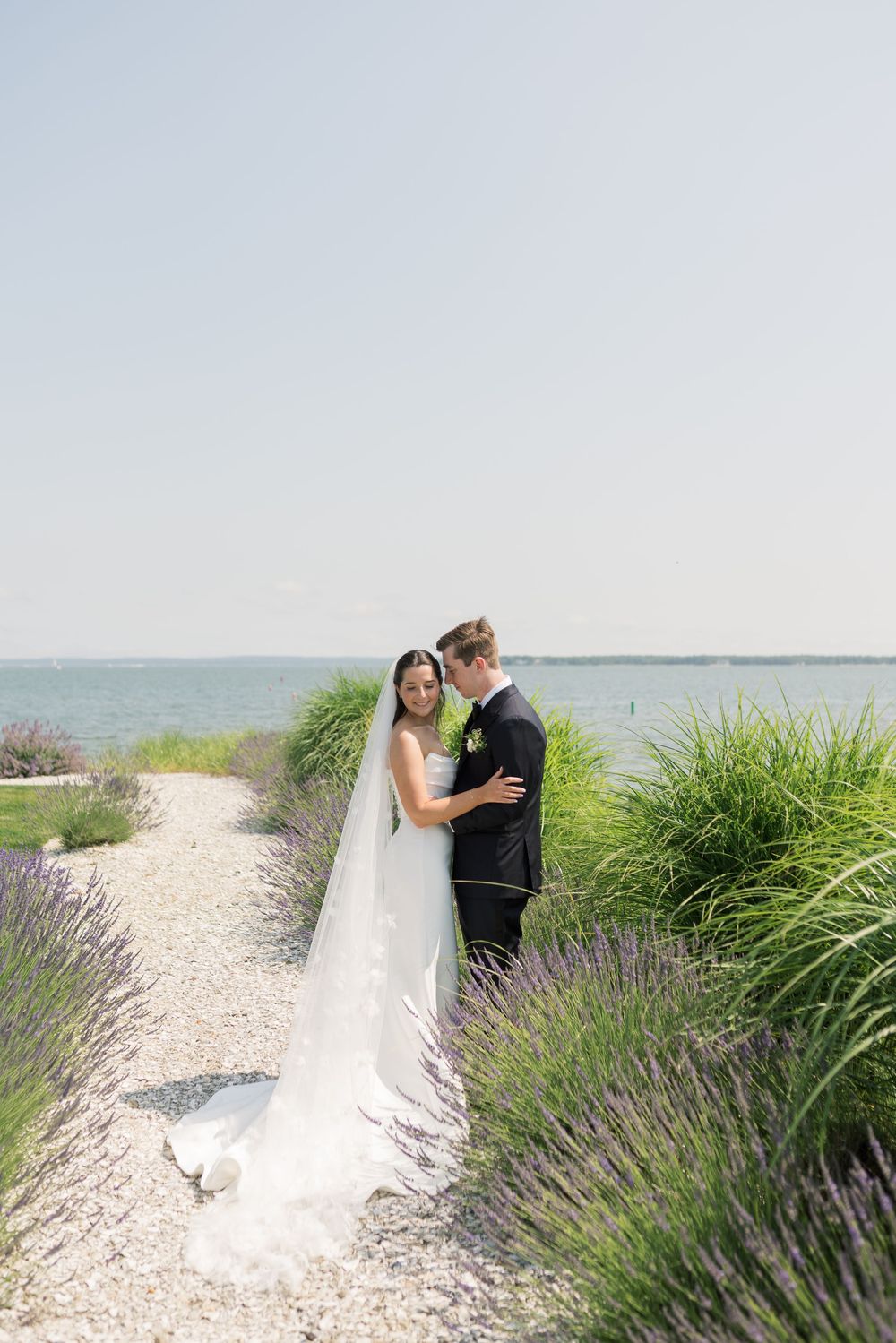 Newlyweds embrace near blooming lavender with ocean view in background.