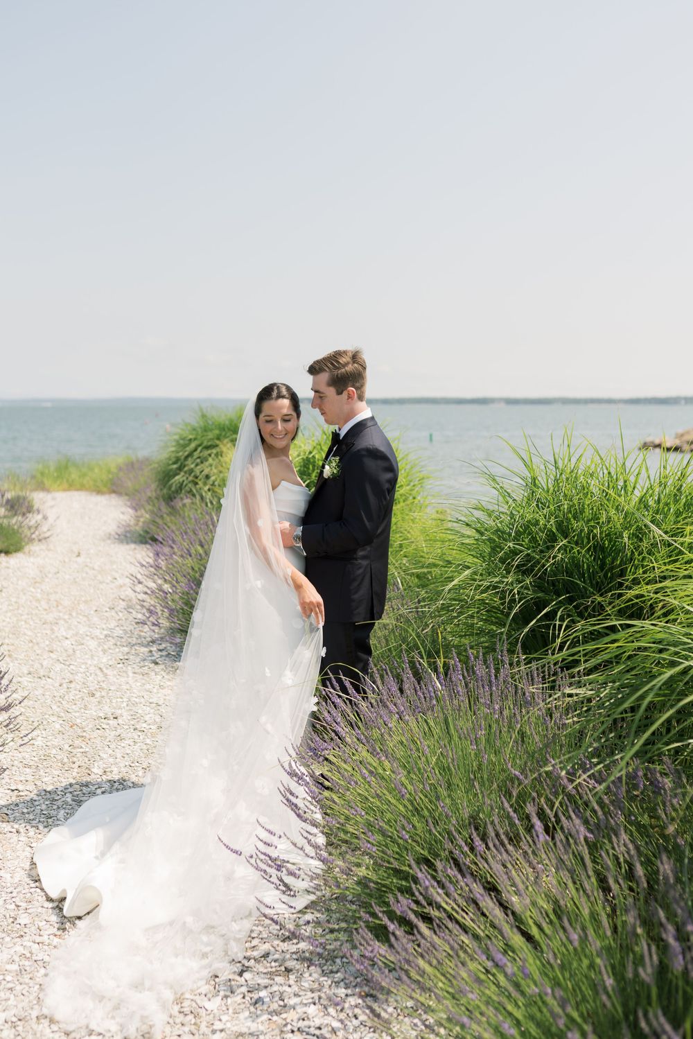 Wedding couple poses among lavender plants by the seaside.