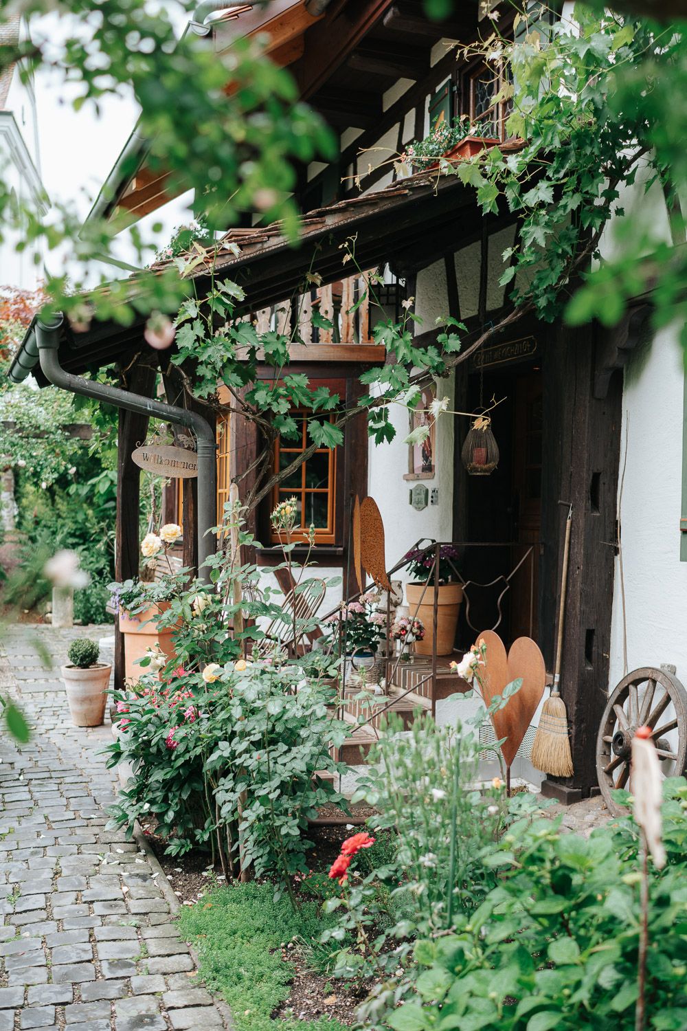 Stone pathway leads past rustic cottage facade with climbing vines and traditional wooden window shutters in garden setting.