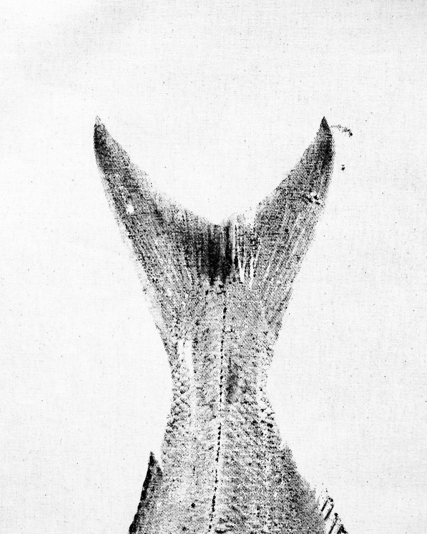 Black and white artistic print of a fish tail.