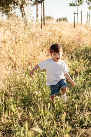 Child playing in tall golden grass during sunset wearing white t-shirt and shorts.