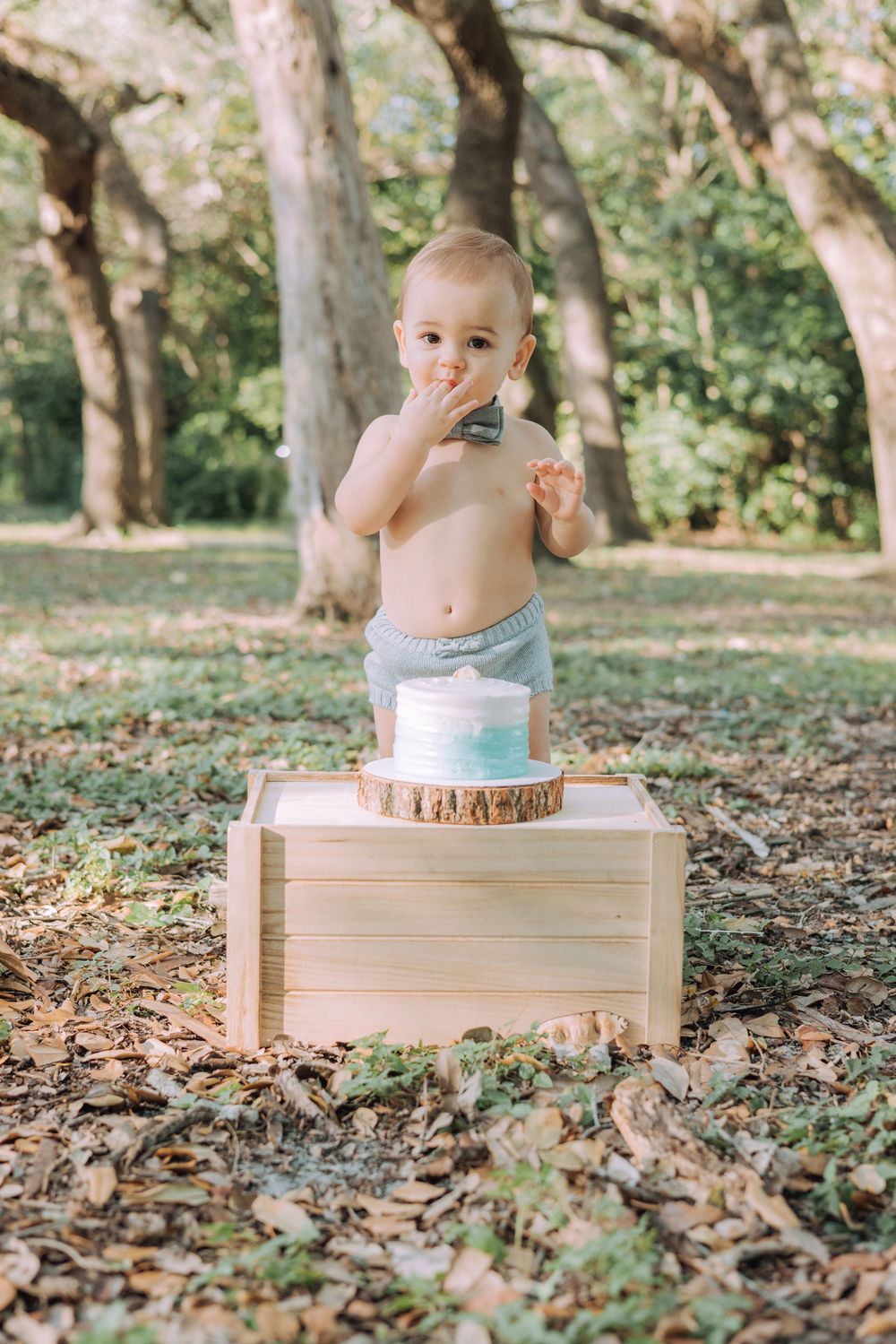 Three photos show a wooden box with dried fall leaves beneath tall trees in a tranquil outdoor setting.