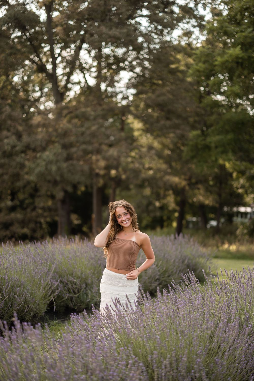 A lavender field in bloom with trees in the background during a golden sunset hour.