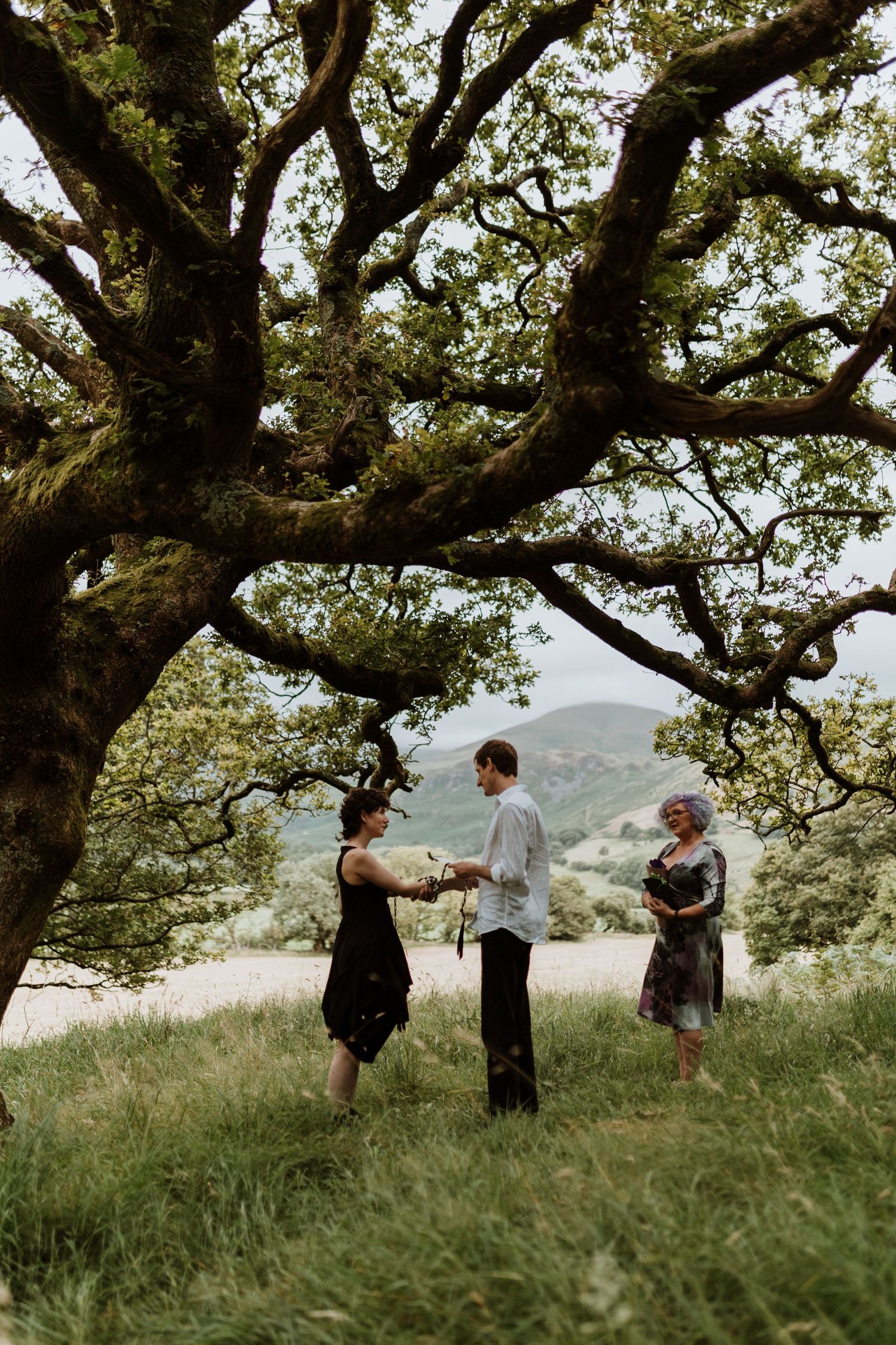 An intimate outdoor ceremony takes place under a majestic old tree on a grassy hillside with mountains in the distance.