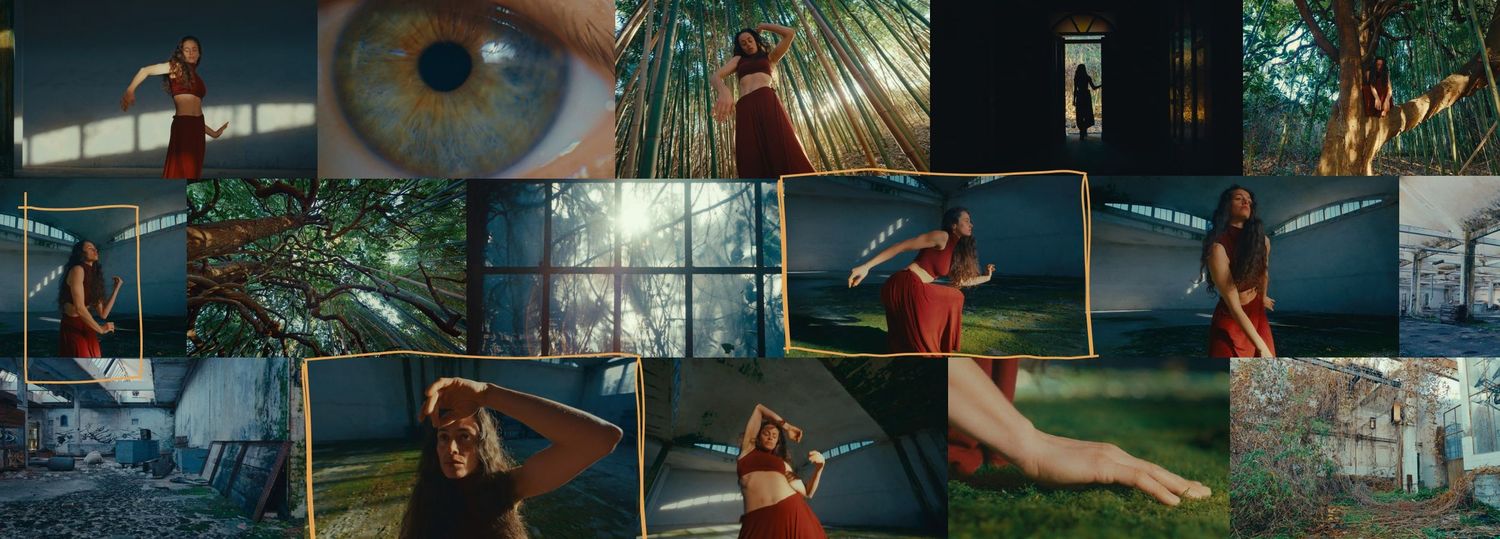 Barba di bosco music video Chromosphere Alessio Ferreri