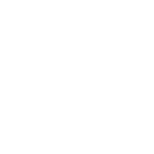 A white minimalist logo design for Stellar Exposure with text in a modern frame.