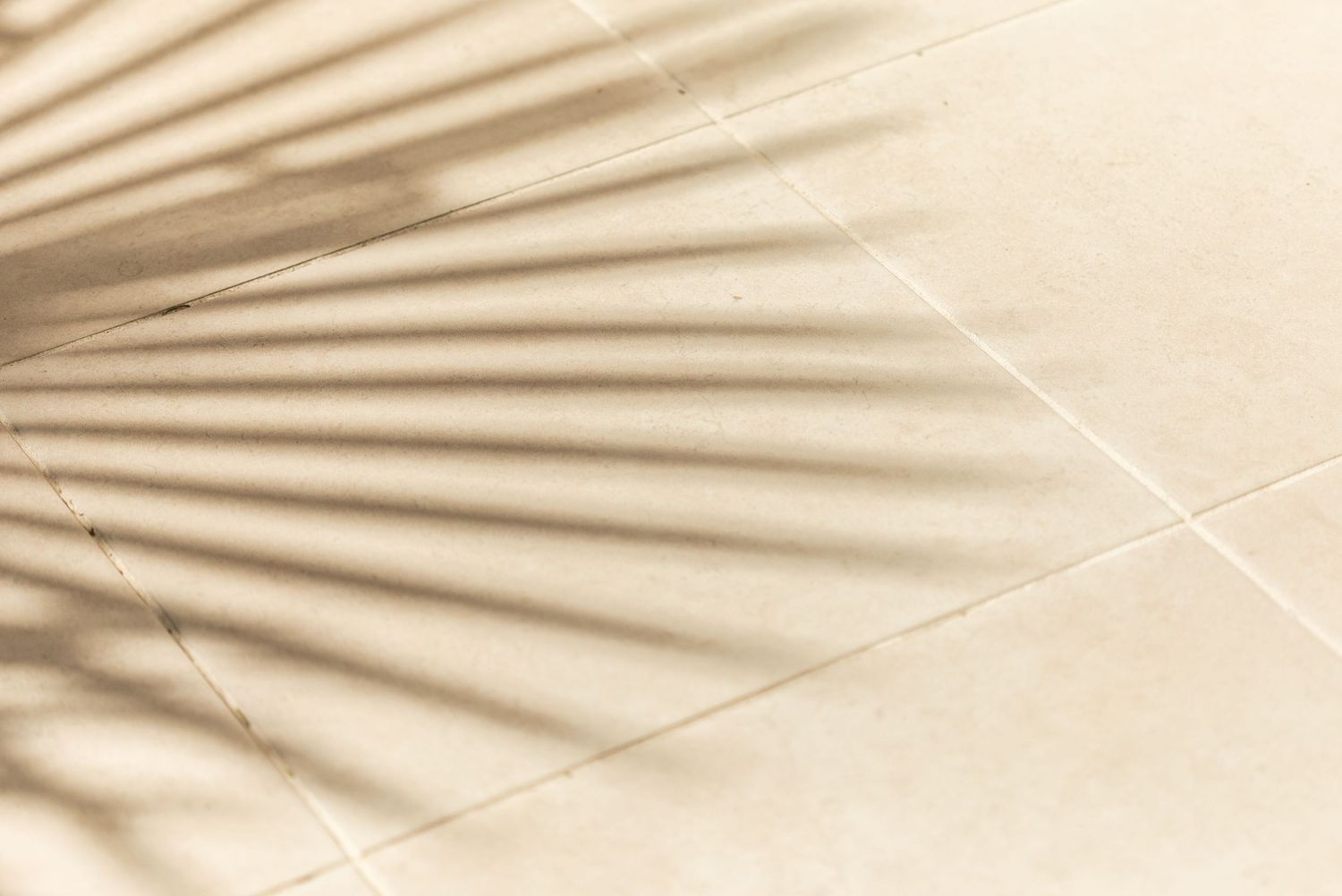 Abstract shadow pattern of palm leaves cast on light beige surface.