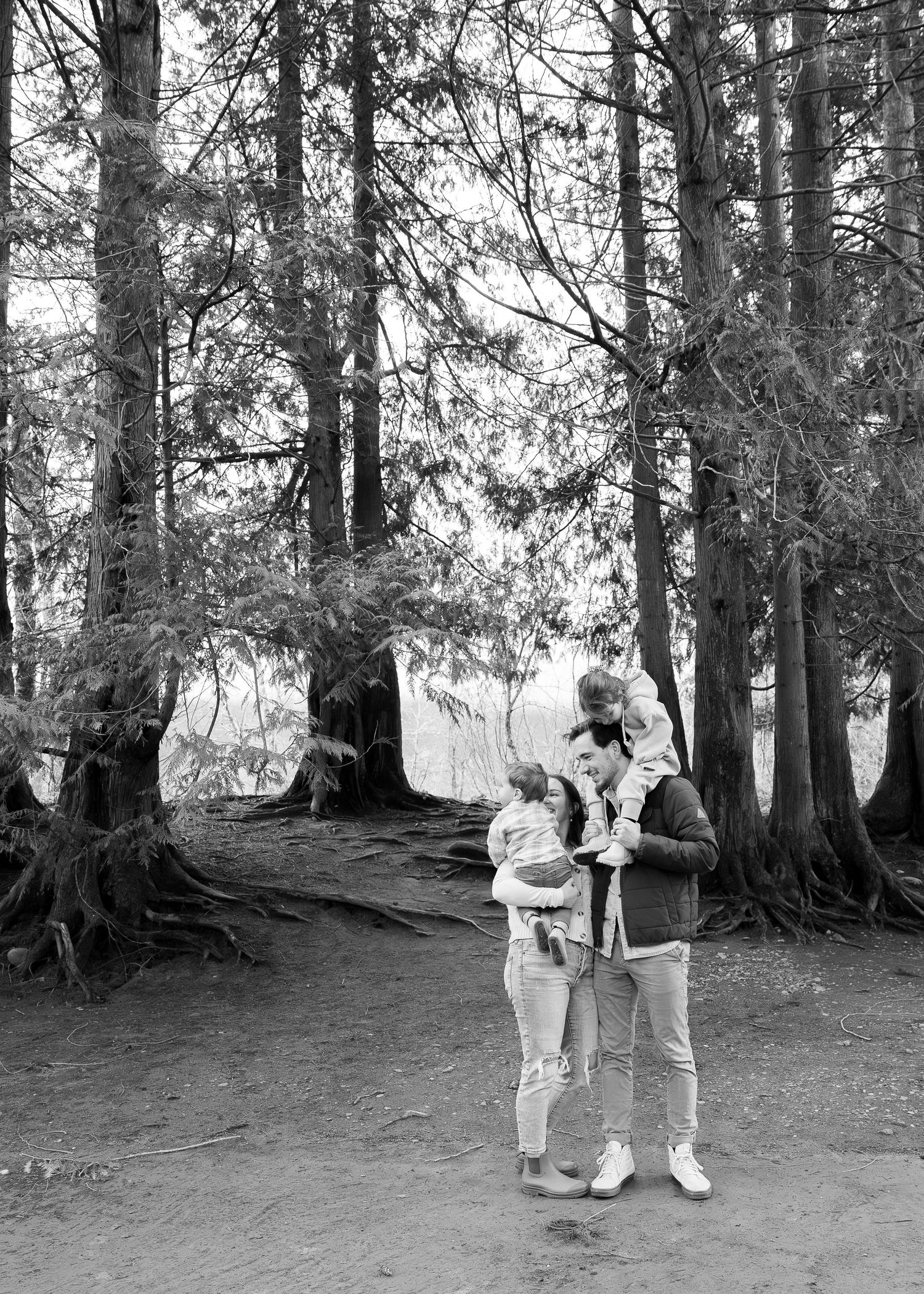 Four sequential photos of people interacting and dancing among tall evergreen trees in a forest clearing.