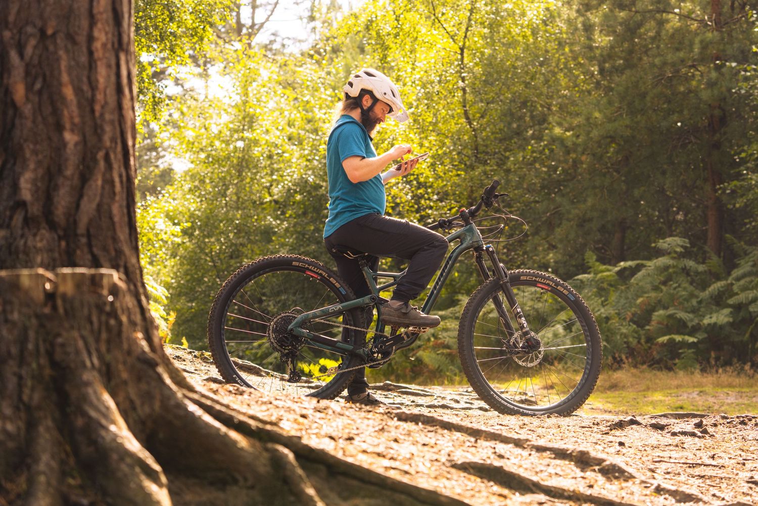 Mountain biker taking a break on forest trail in golden sunlight with large tree trunk in foreground.