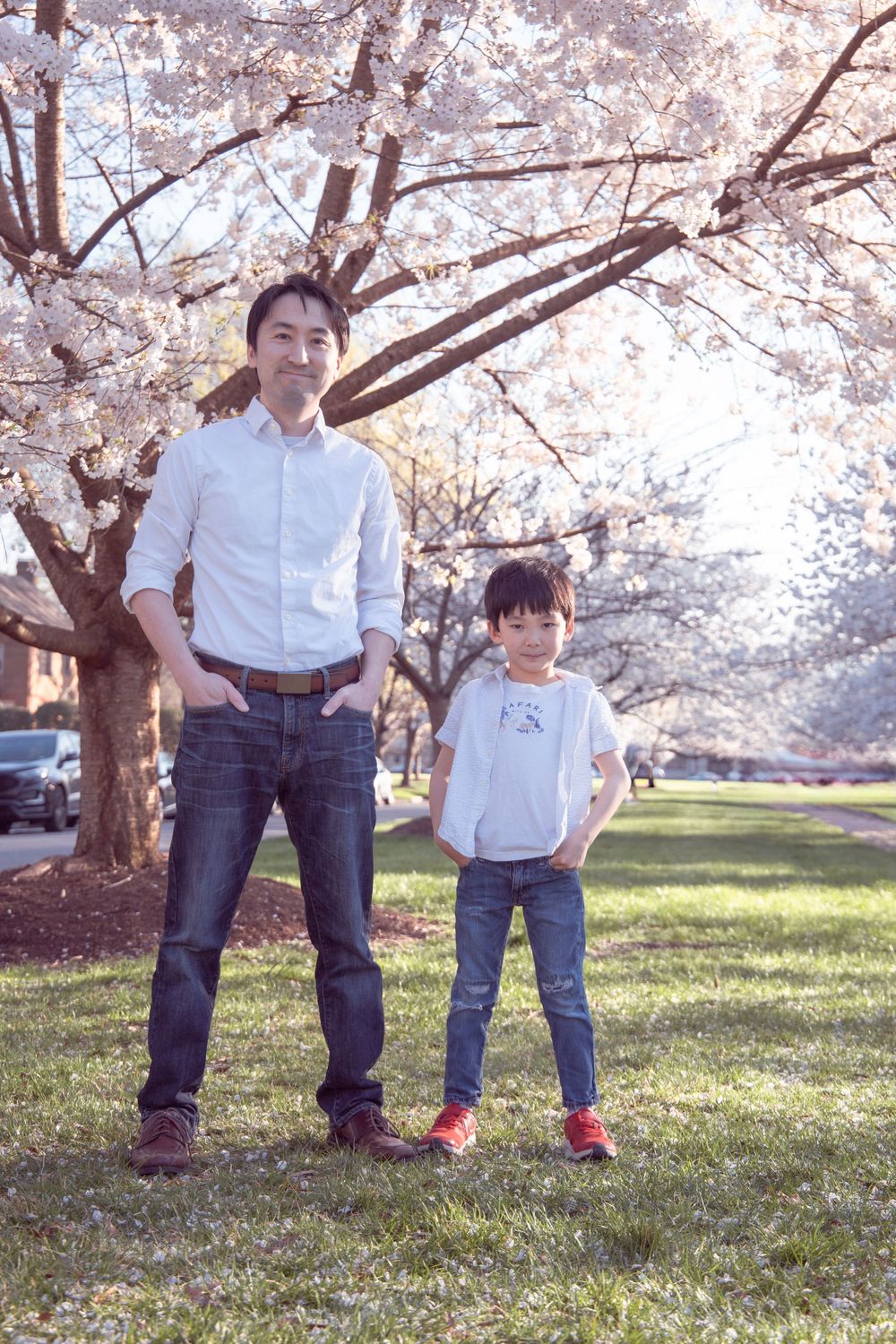 Two people standing under blooming cherry blossom trees on a grassy lawn in springtime.