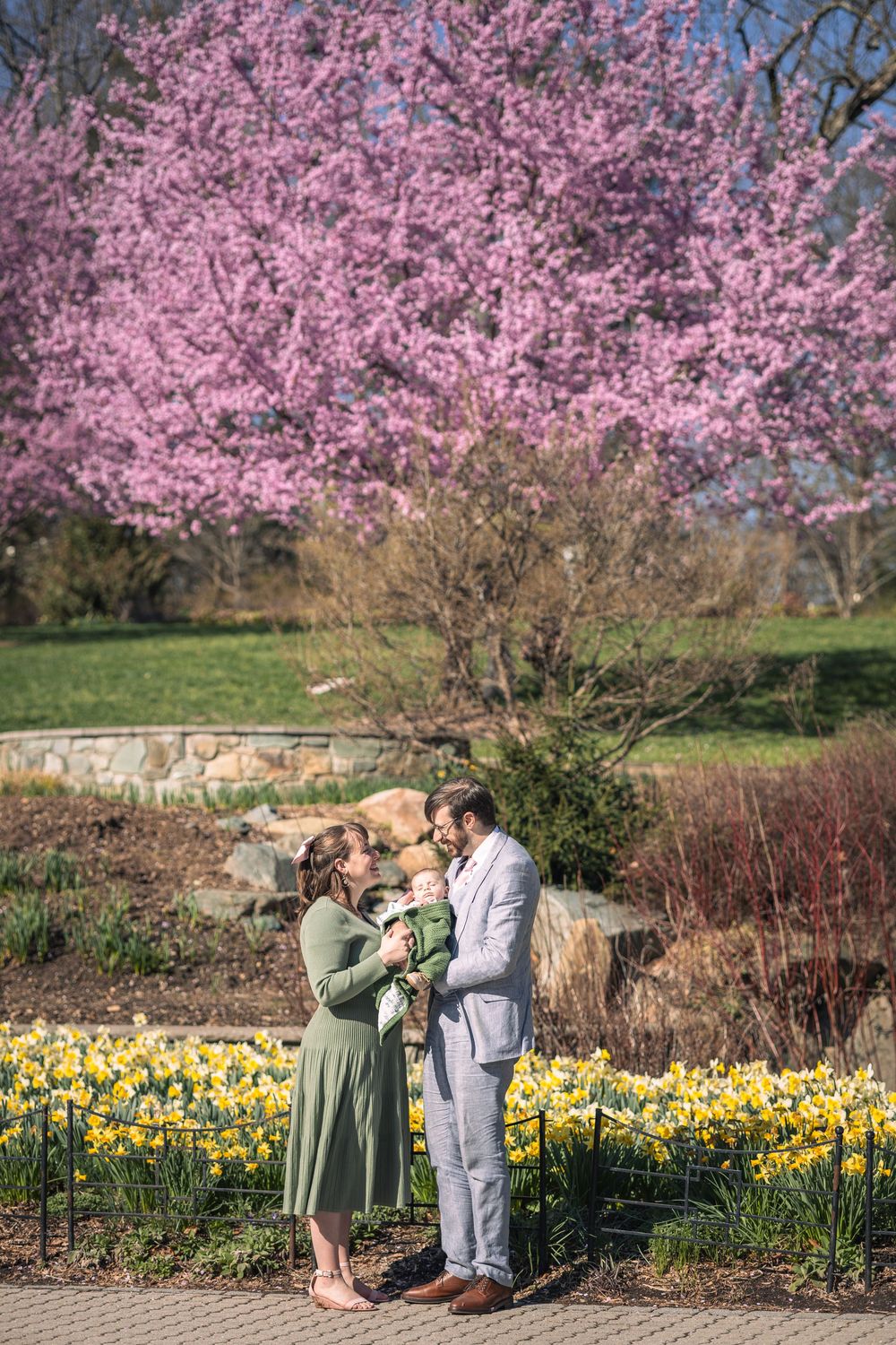 Family portrait with newborn baby in spring garden with pink cherry blossoms and yellow daffodils.