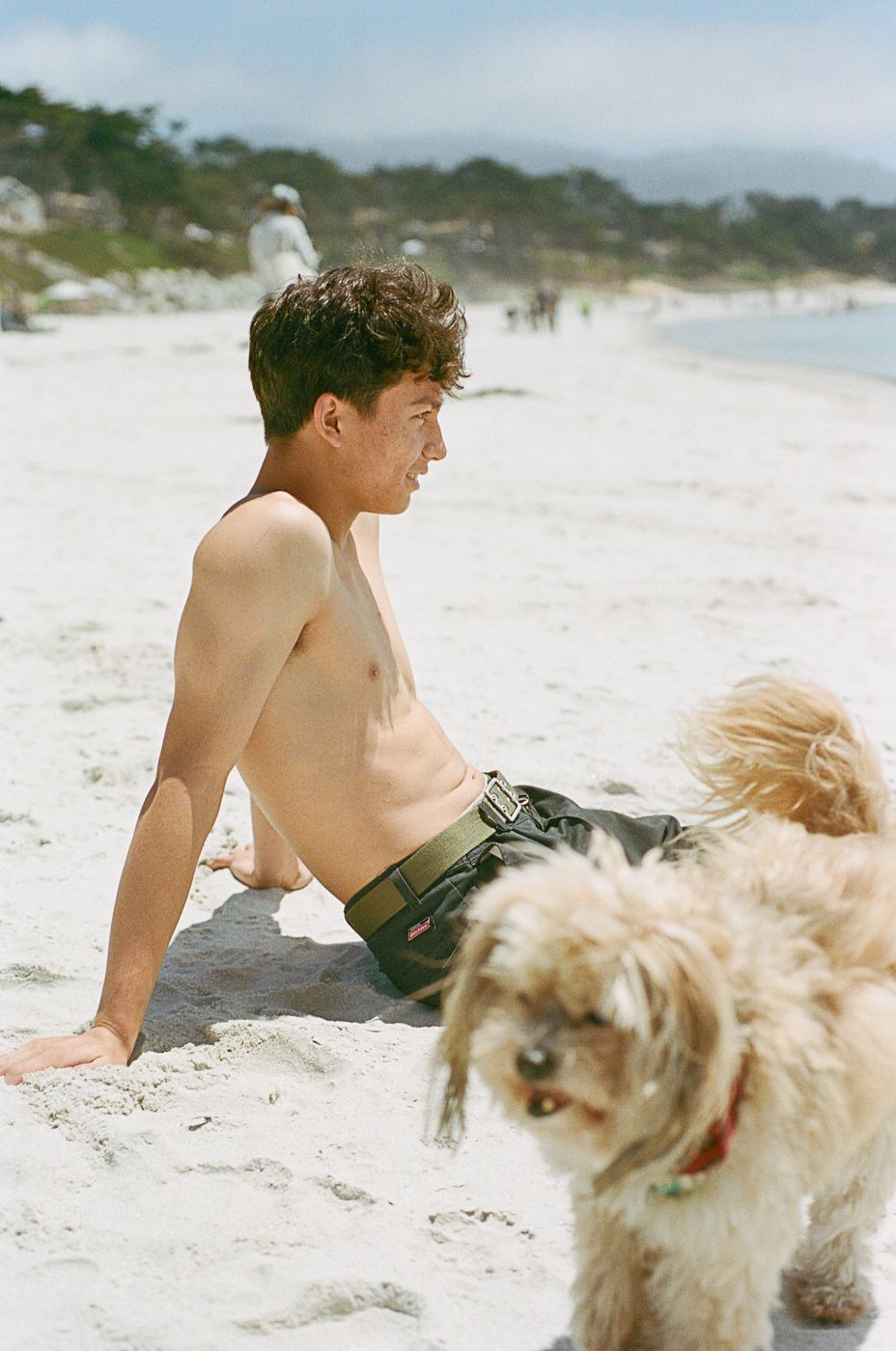 Person relaxing on sandy beach with a small fluffy dog nearby.