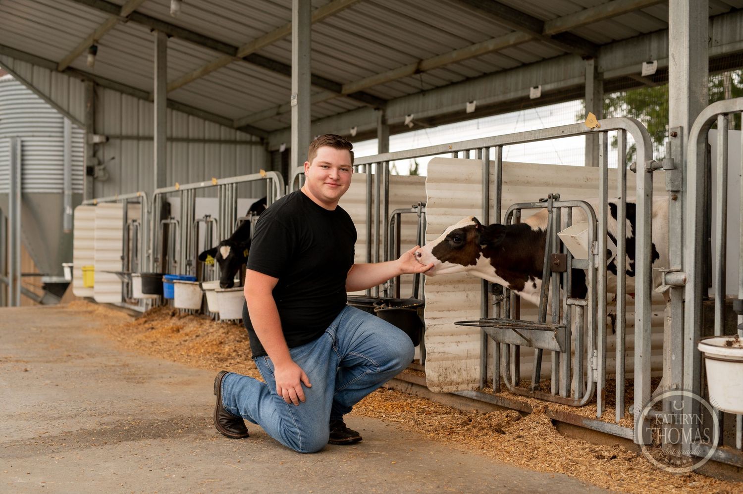 Someone interacts with a dairy cow in a modern barn facility while kneeling.