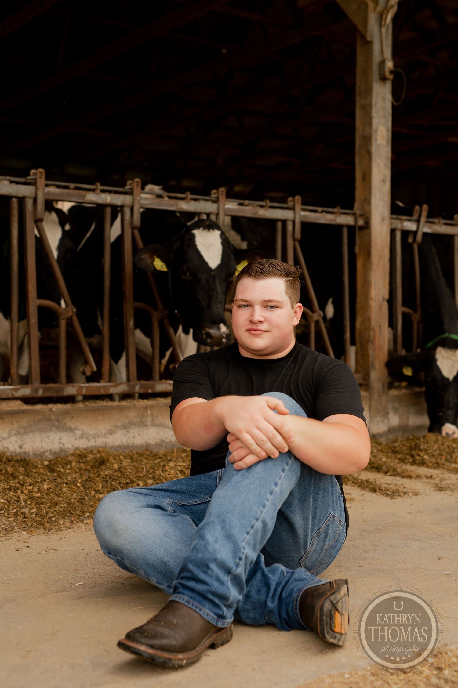 Someone sits cross-legged on barn floor with Holstein dairy cows visible in stalls behind.
