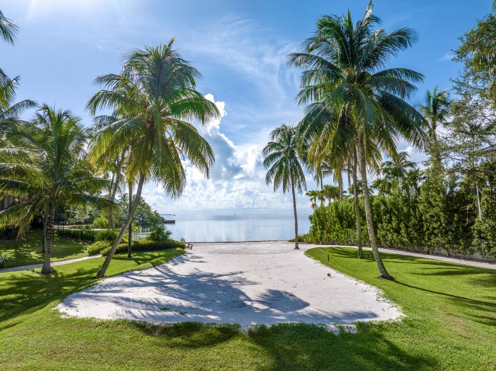 Sandy path flanked by palm trees leading to a beach under bright blue Caribbean skies.