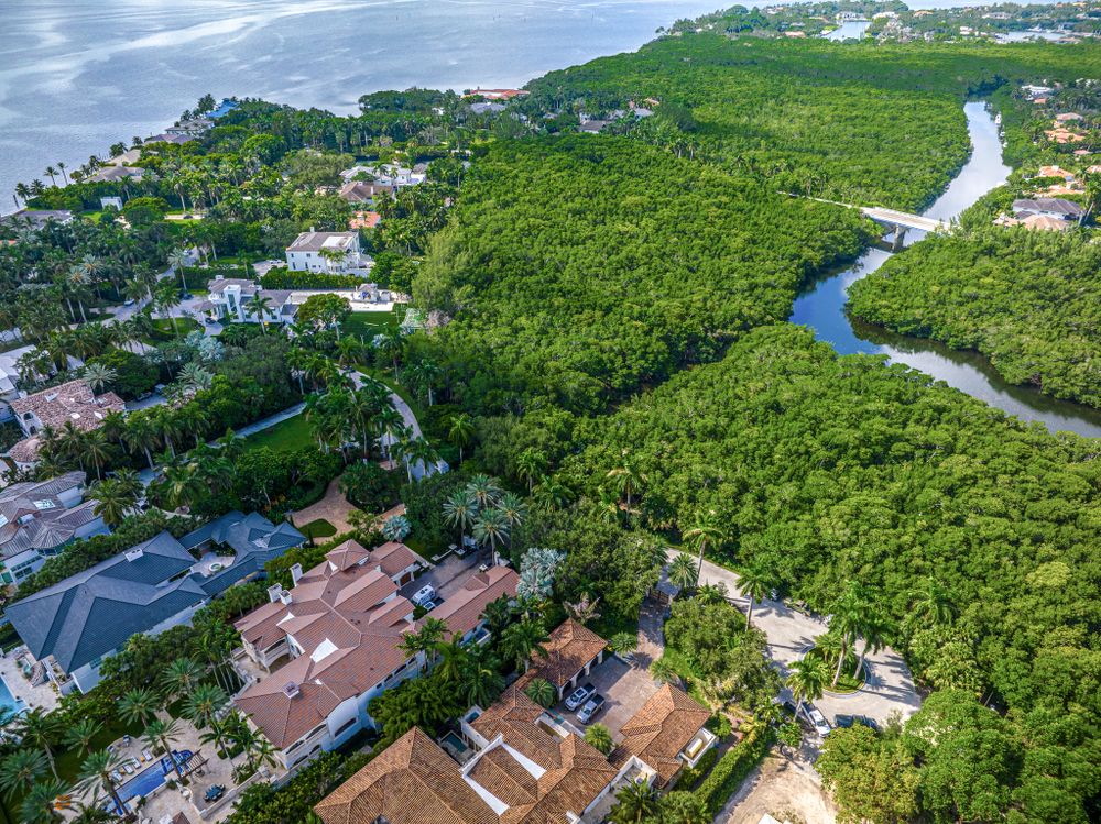 Aerial view of coastal properties nestled between lush mangroves and waterways.