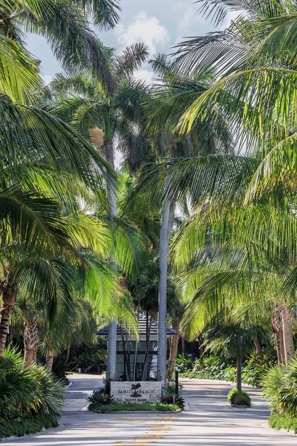 Palm tree-lined driveway with modern landscaping and paved pathway leading to a luxury property.