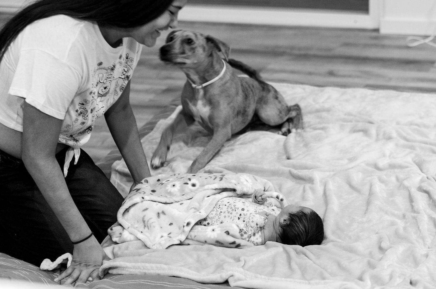 Maui Candid Family Photography - A dog protects a newborn baby like she is a newborn puppy.
