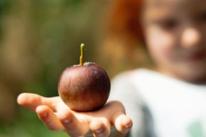 Fruit, Family Photo, Portrait, Home and Garden, Food Photography