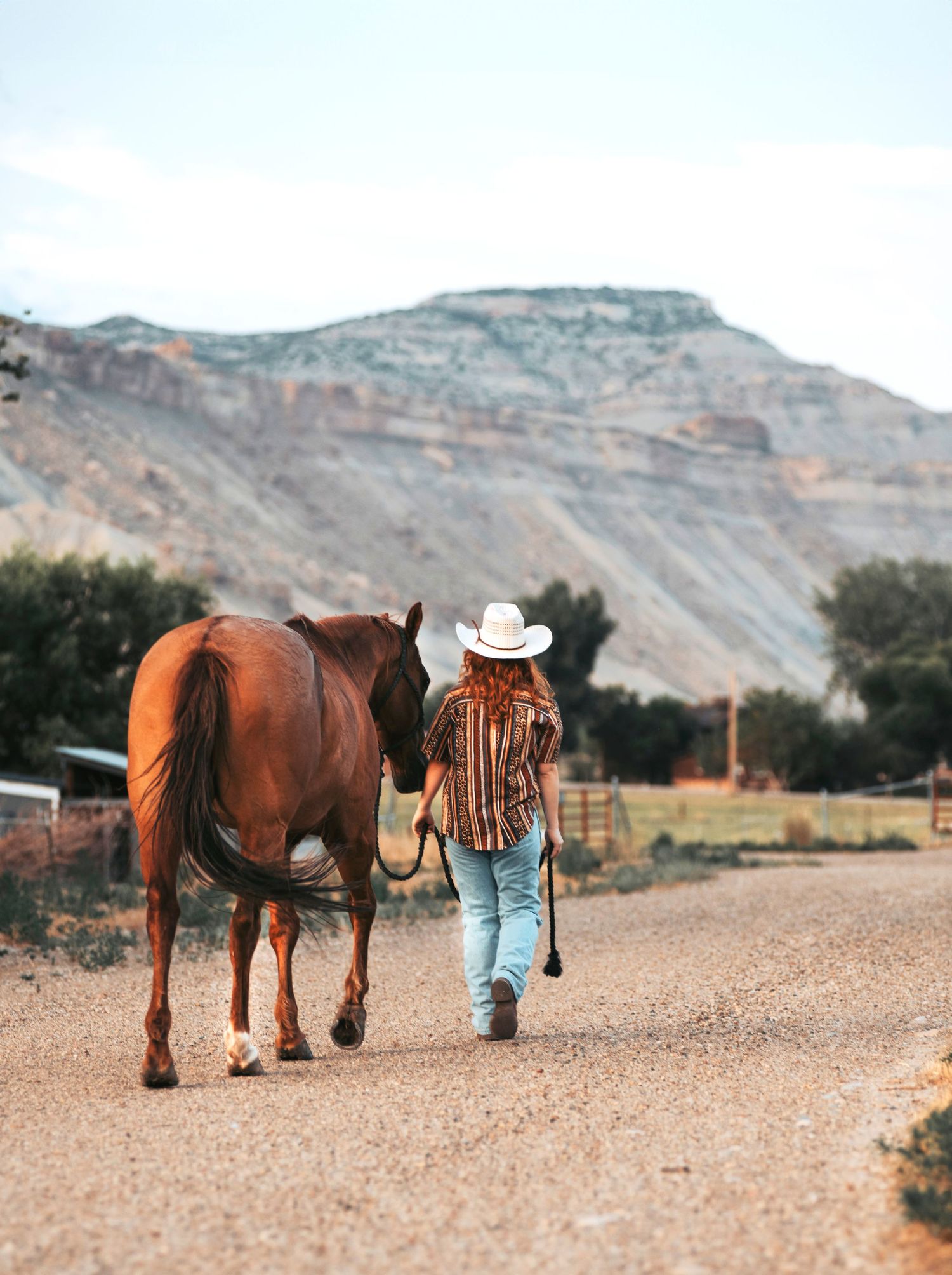 A horse and companion walk along a dusty path with dramatic cliffs rising in the background.