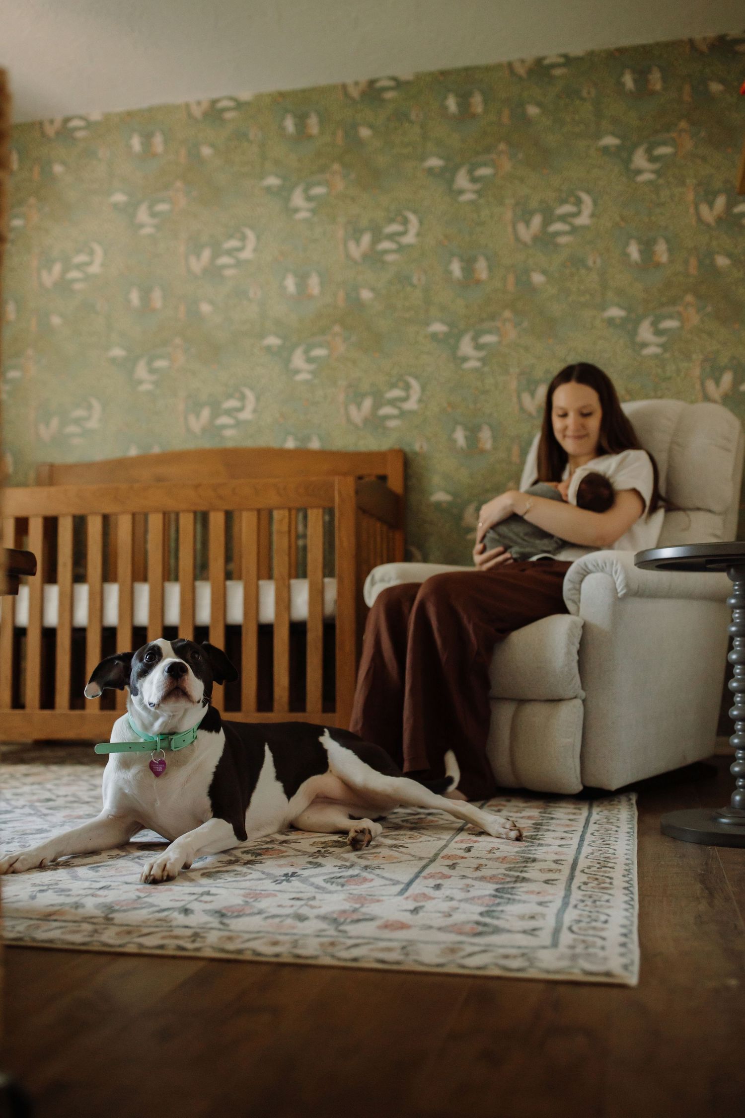 A sequence of photos showing someone relaxing on a couch with a dog in a room with patterned wallpaper.