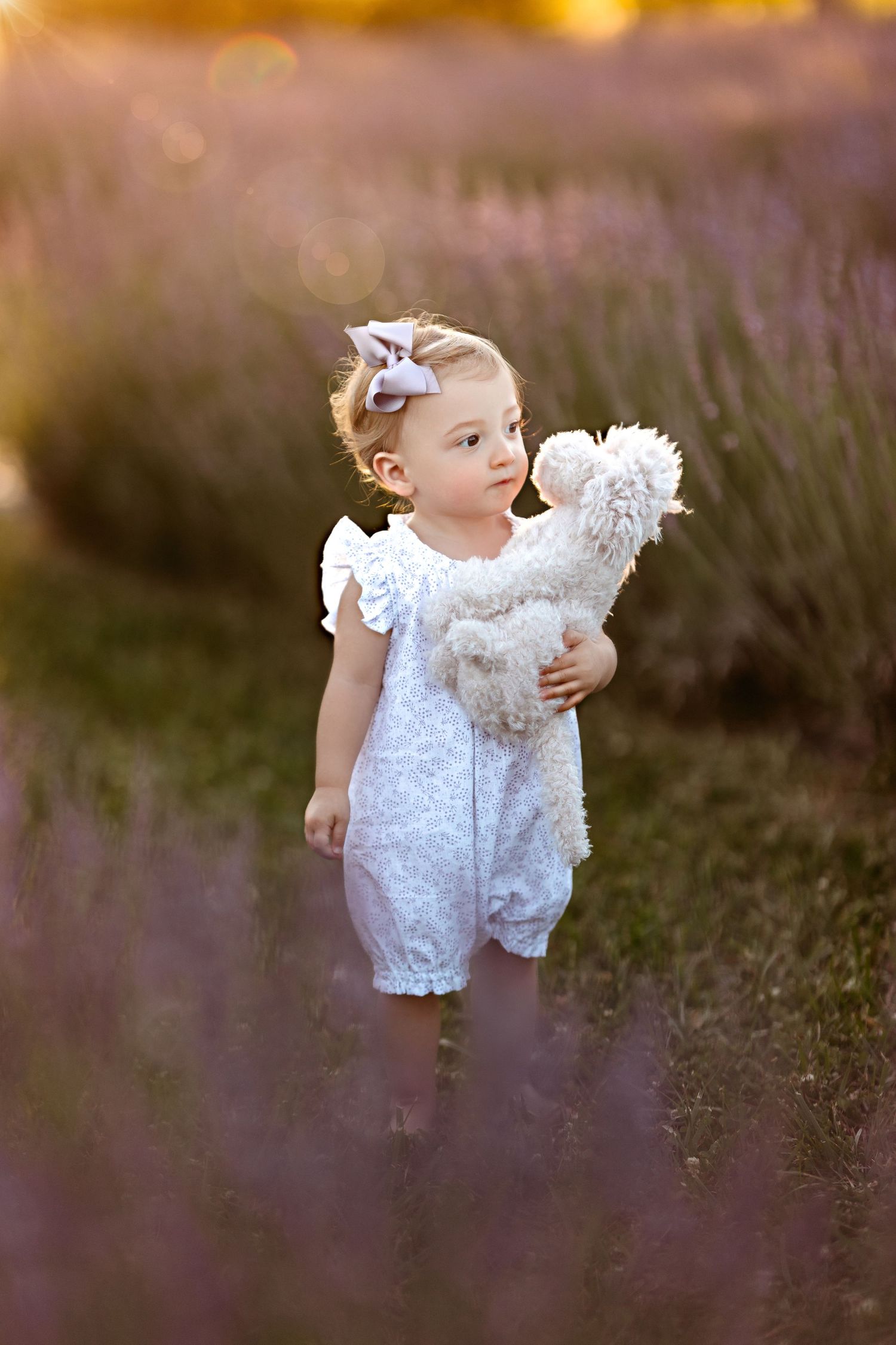A small child in a white dress walks through a field of blooming purple lavender at sunset.  Middle Tennessee Luxury Child Photographer