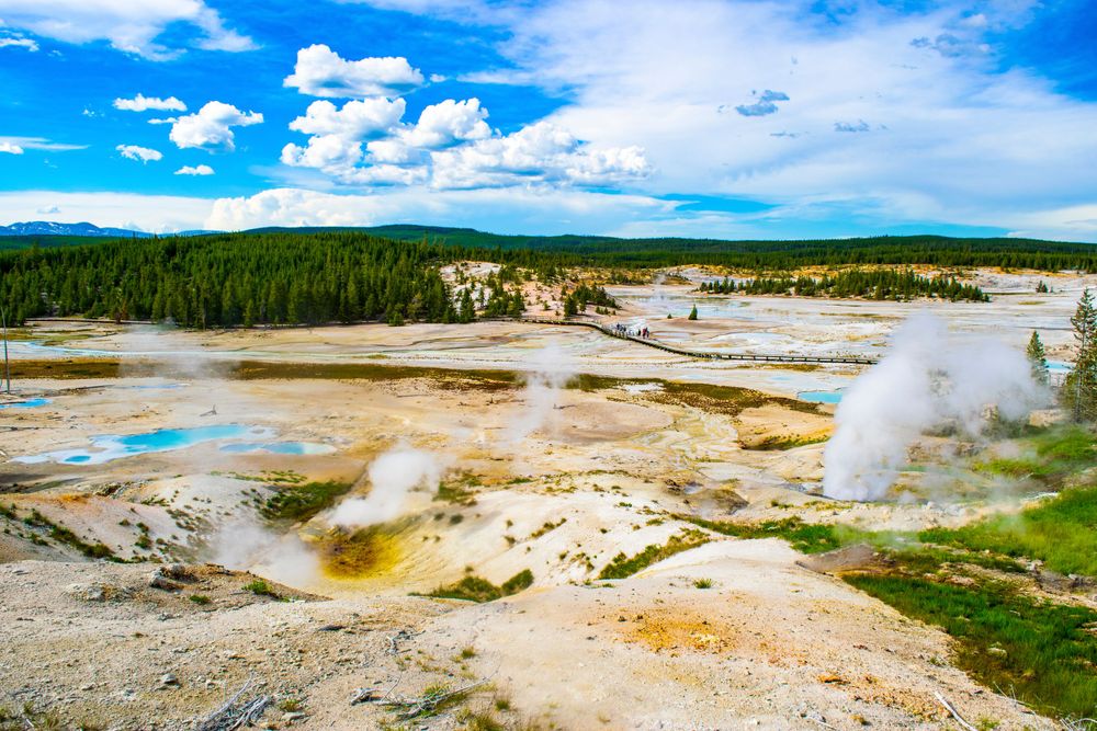 Colorful geothermal landscape with steam vents and hot springs under blue sky at Yellowstone.