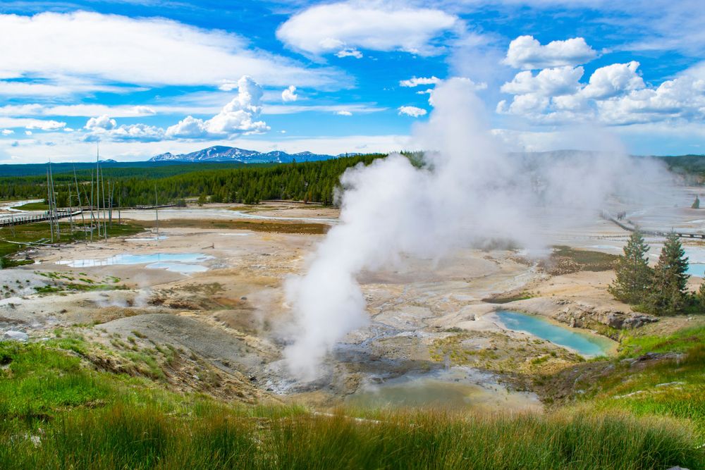 Steaming geyser erupting amid colorful hot springs and thermal features in Yellowstone's landscape.