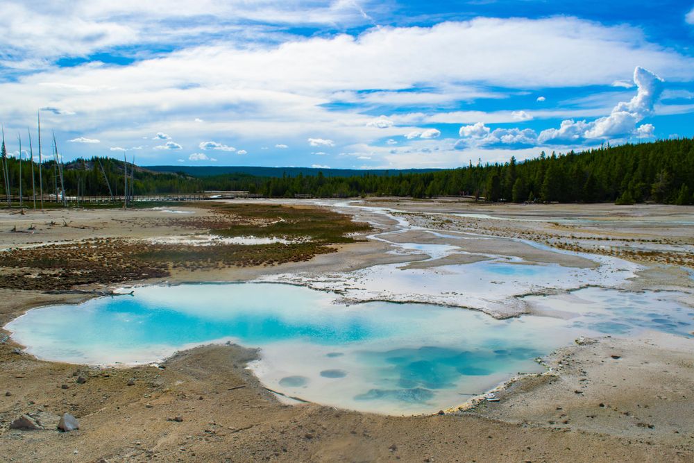 Vibrant turquoise hot spring pool surrounded by white mineral deposits in Yellowstone's geothermal area.
