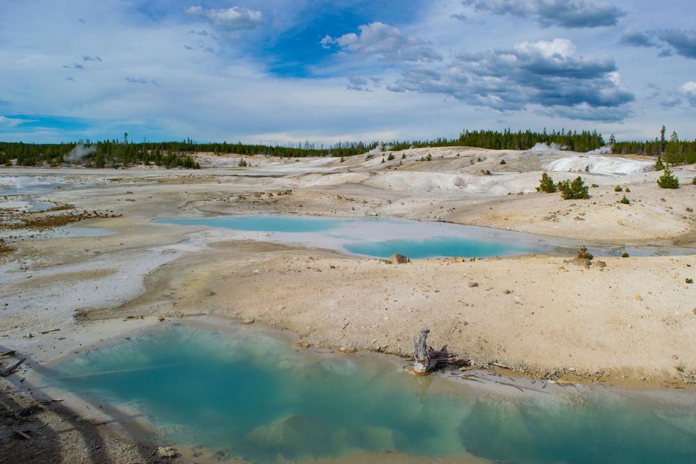 Turquoise geothermal pools contrast with white mineral deposits in Yellowstone's volcanic basin.