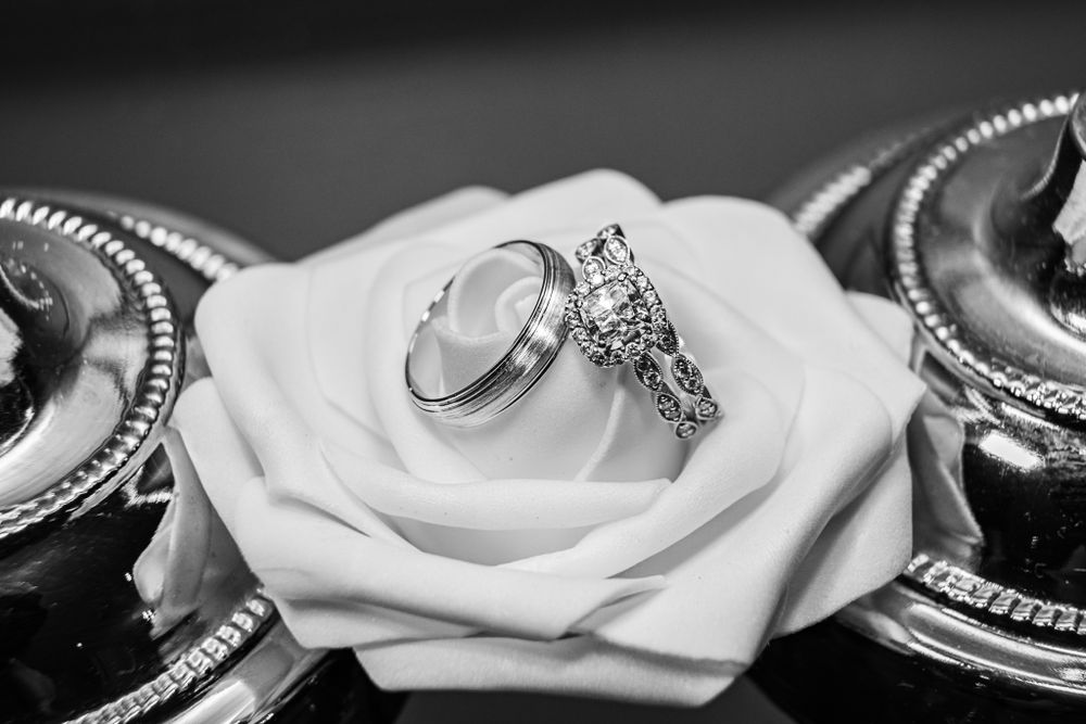 Wedding rings resting on a delicate white rose in black and white photography.
