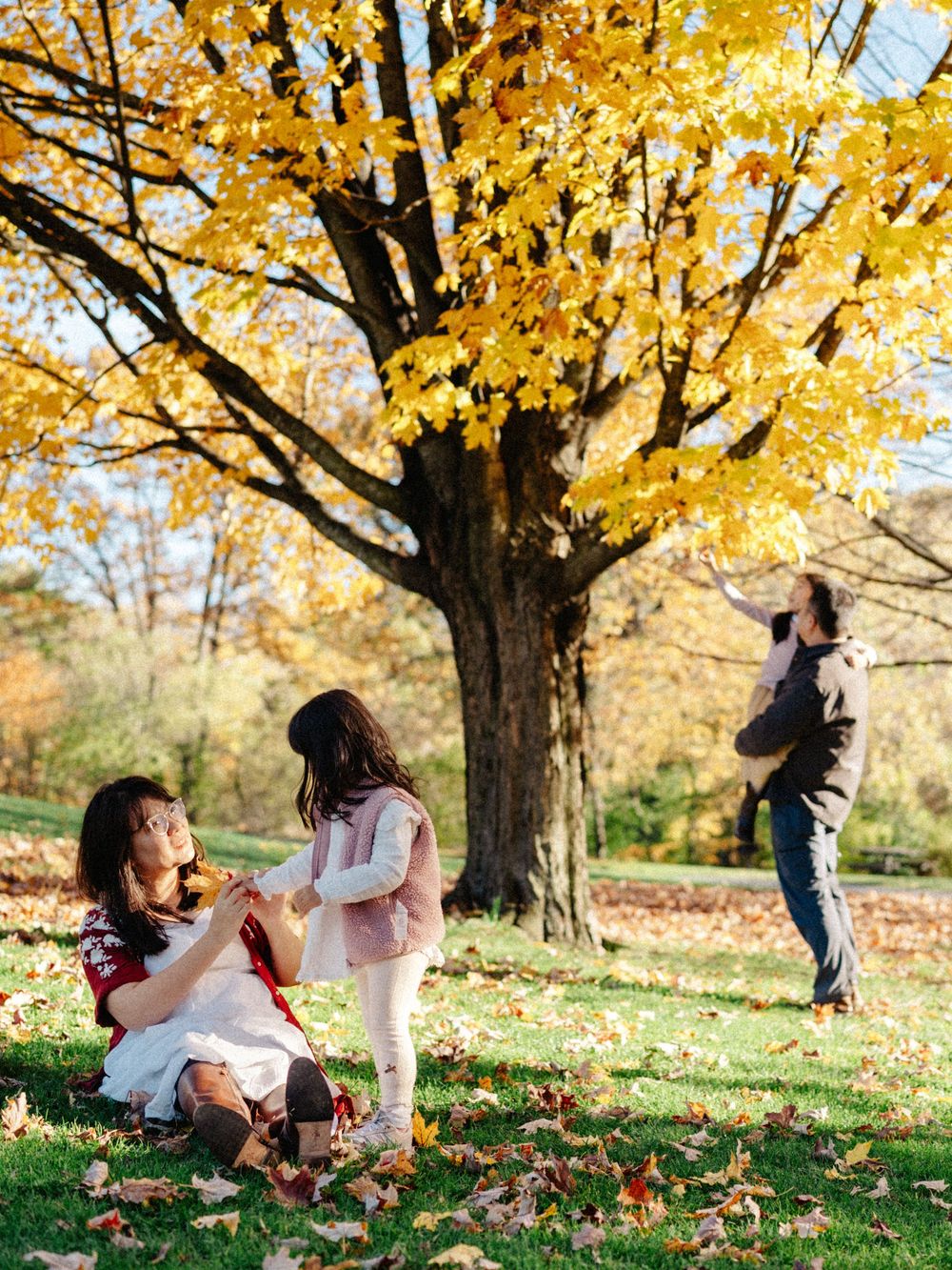 Family enjoying a beautiful autumn day under a golden maple tree at the Larz Anderson Park, Brookline, MA.