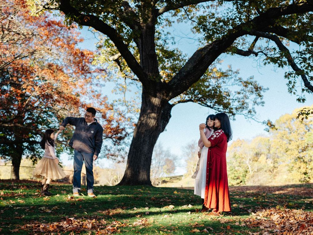 A couple shares a romantic moment under a large tree with autumn foliage at the Larz Anderson Park, Brookline, MA.
