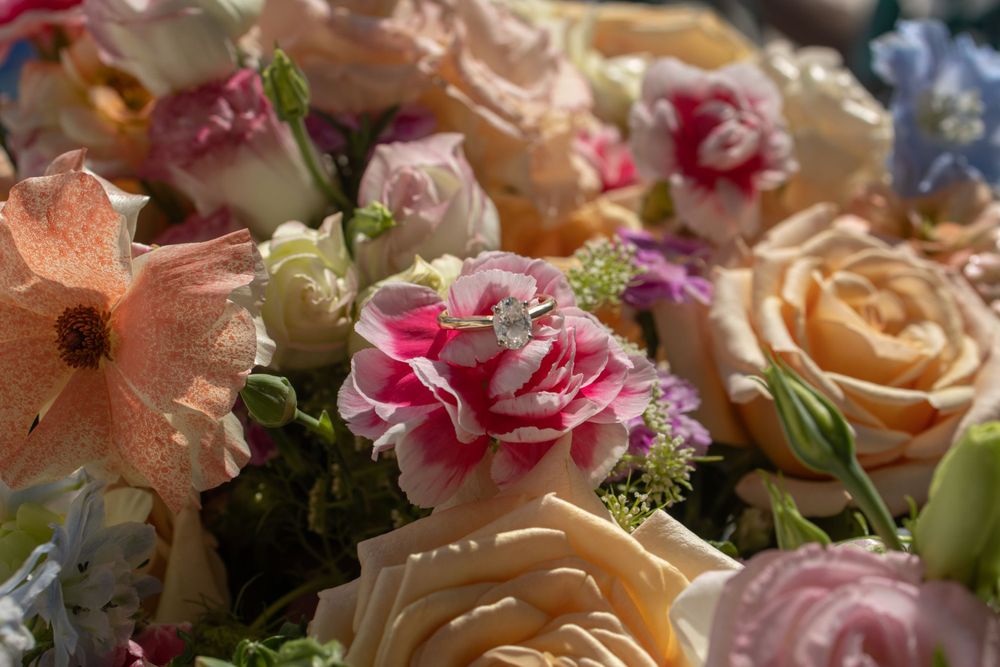 Closeup of pink and peach roses in a floral arrangement with soft focus.
