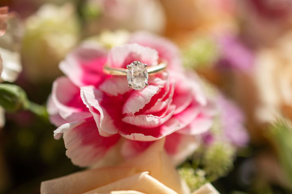 Diamond engagement ring nestled in the petals of a pink carnation flower.