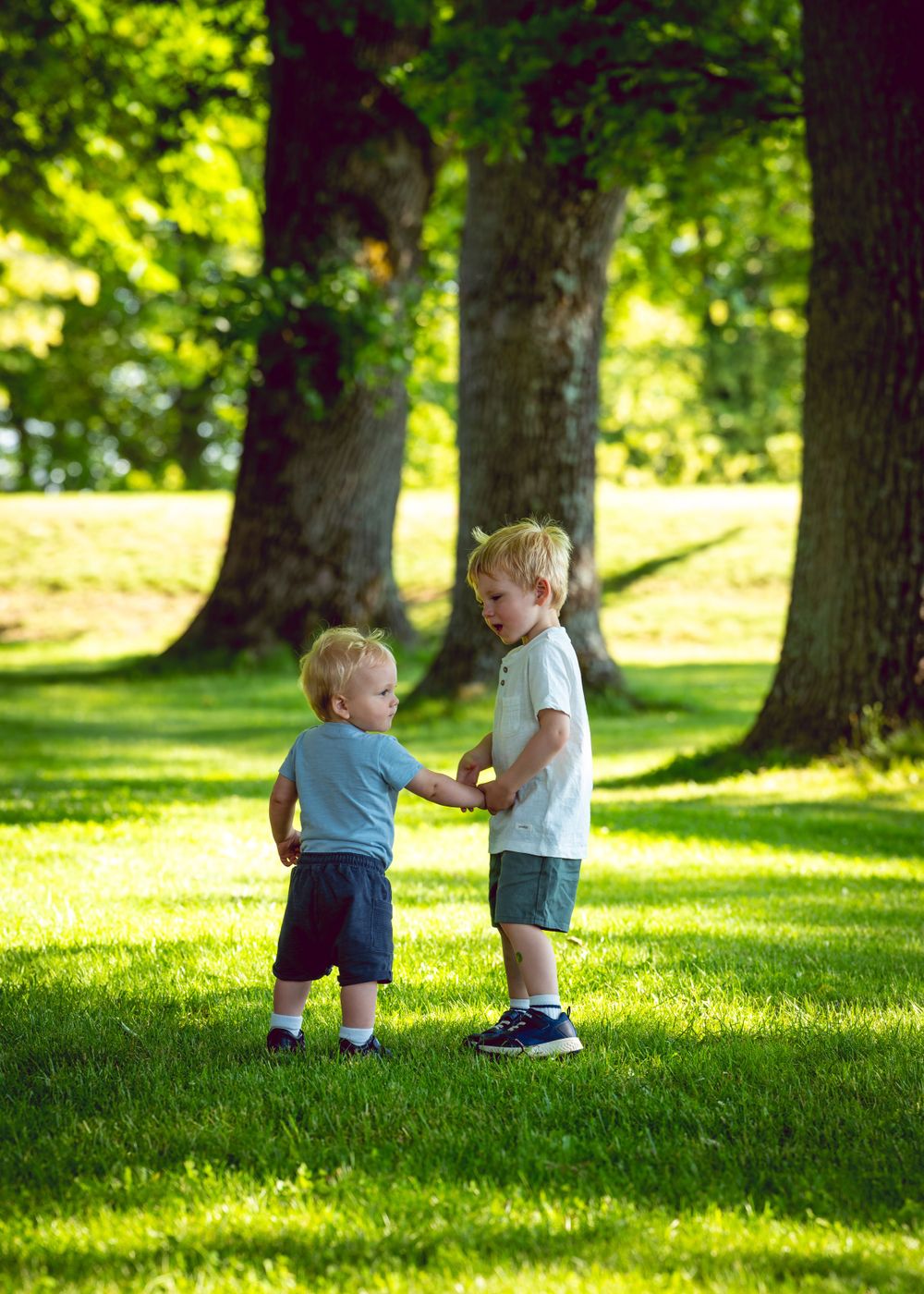 Two young children interact while playing on a sunny lawn with large trees in the background.
