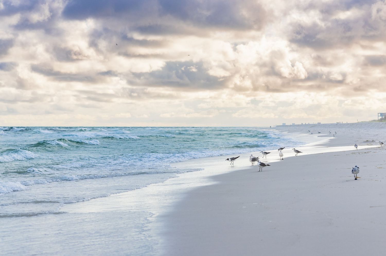 Panoramic view of a beach shoreline with seabirds against dramatic cloudy skies and rolling waves.