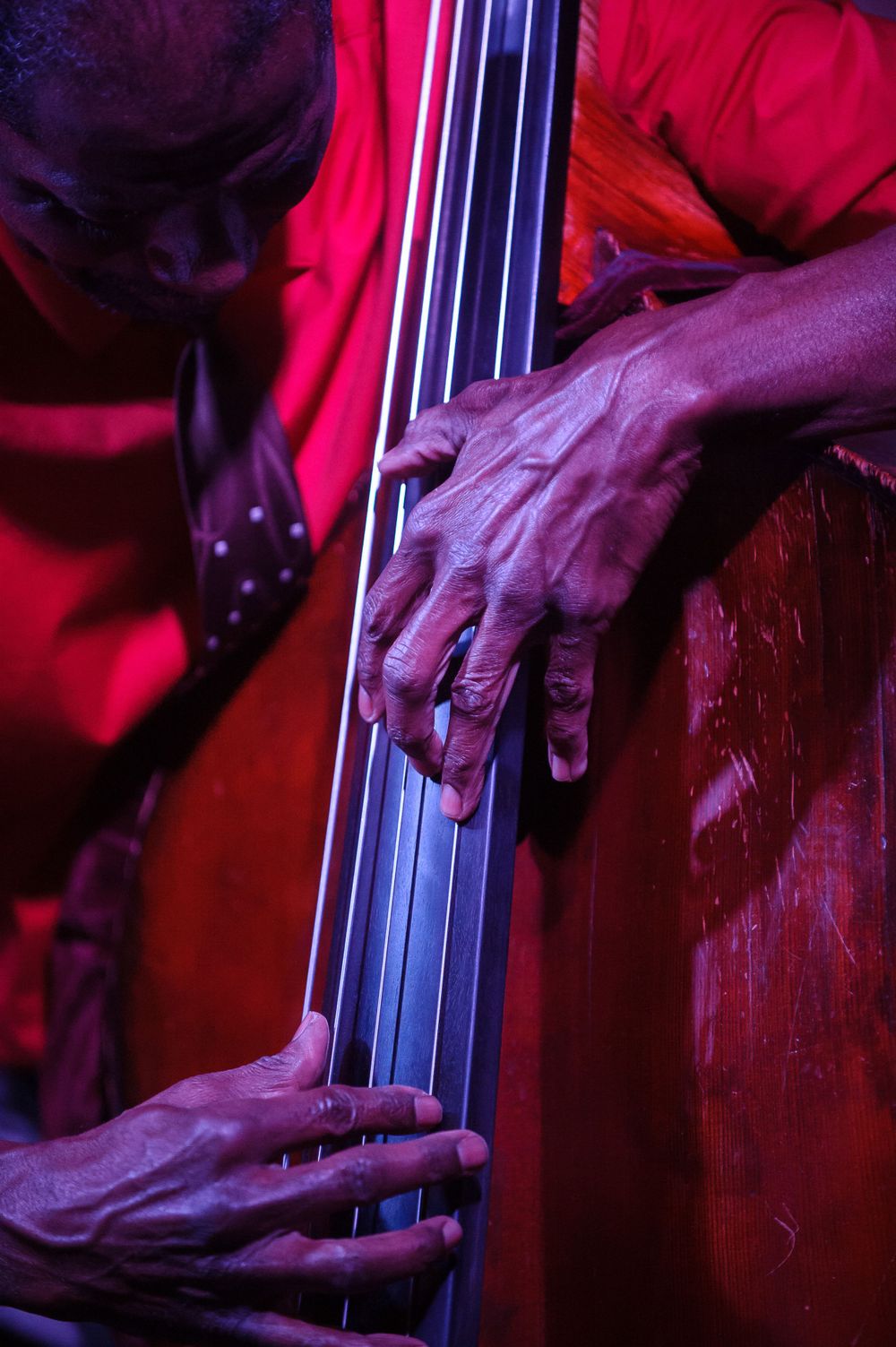 Hands of an African American stand-up bass player lit by stage light at the Palace Theatre Waterbury, CT