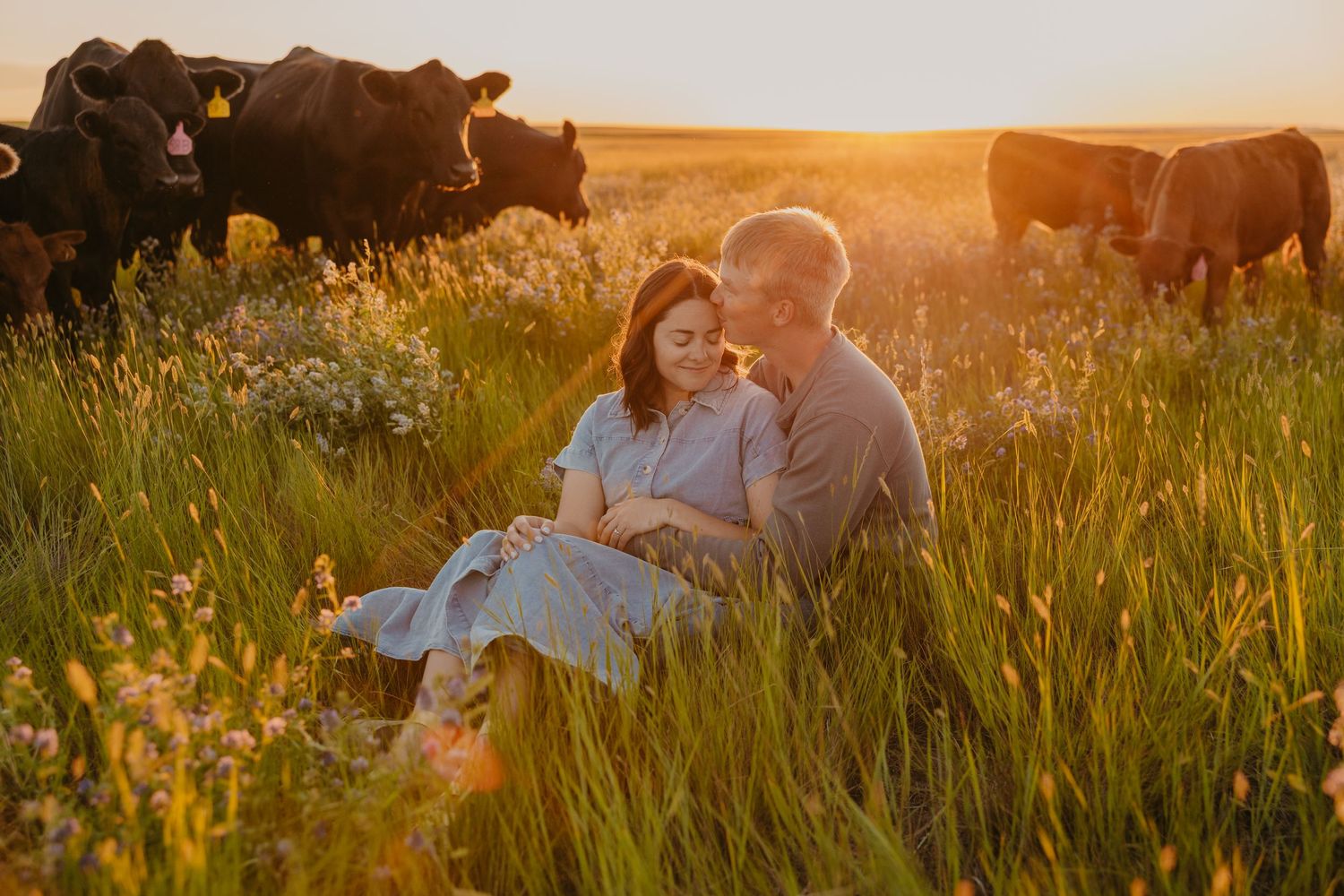 Montana Western Wedding Photographer capturing couple at their Ranch with their cattle. Paradise Valley Wedding Photographer. Pray Montana