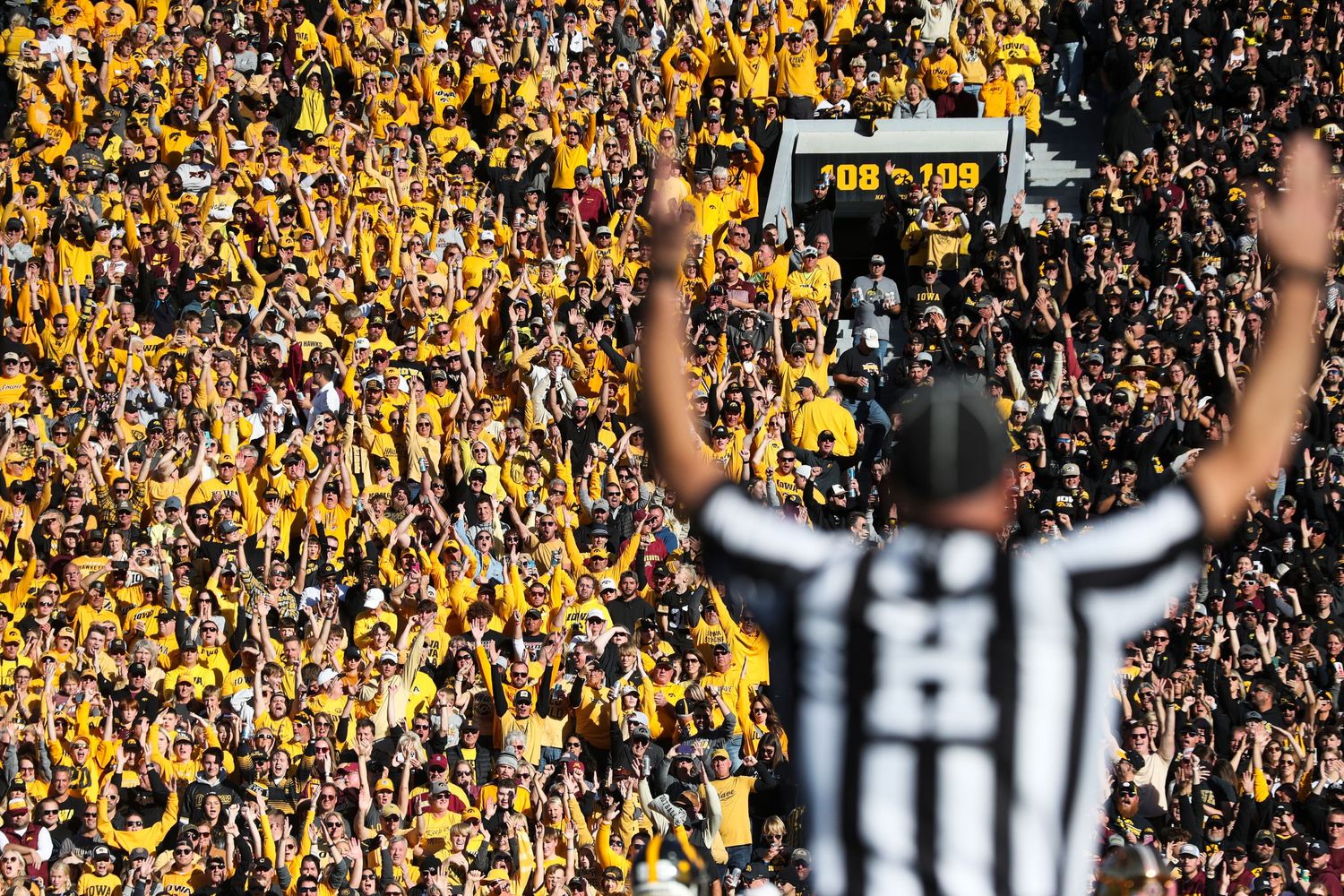 Referee signals touchdown with arms raised as yellow-clad crowd cheers in stadium background.