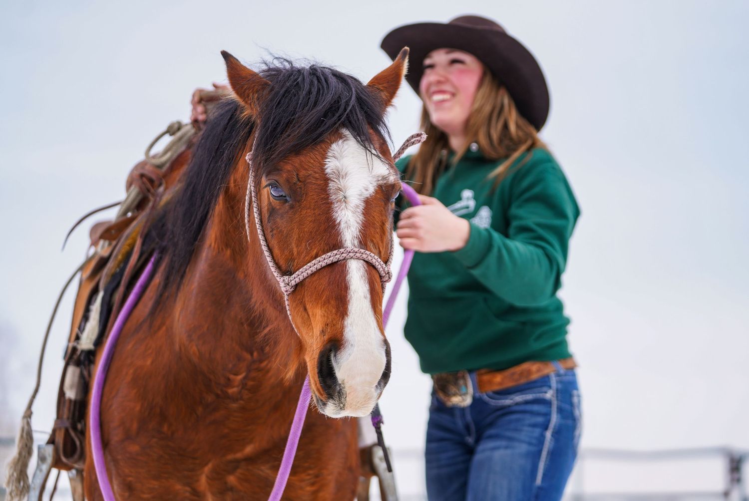 Equine photographer in Alberta