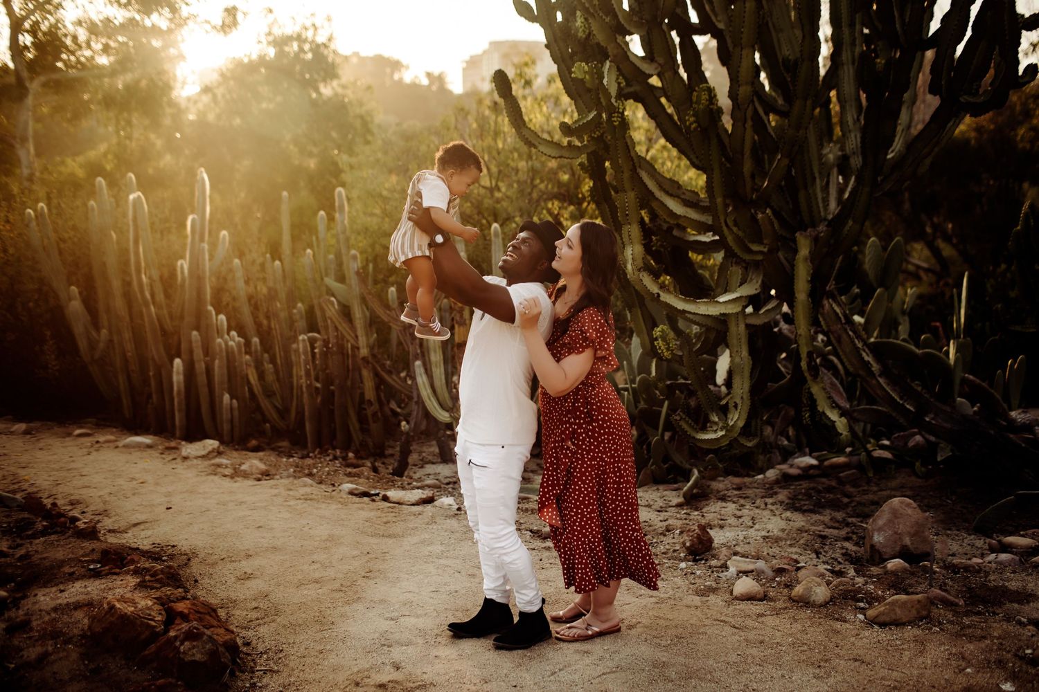 A family of three near a cactus during golden hour, the mom smiling at the dad as he holds their baby in the air, sharing a joyful moment.