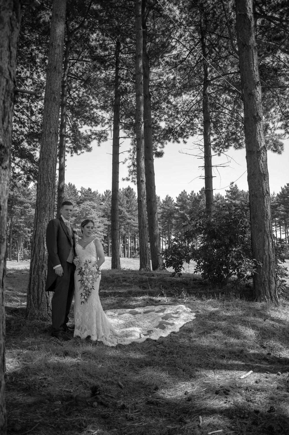 Wedding couple stands in dappled sunlight among tall pine trees in forest setting.