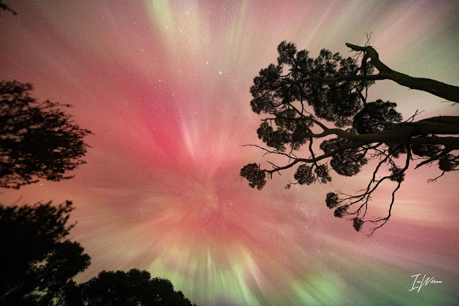 Corona of the Aurora Australis, Tasmania, 11 May 2024