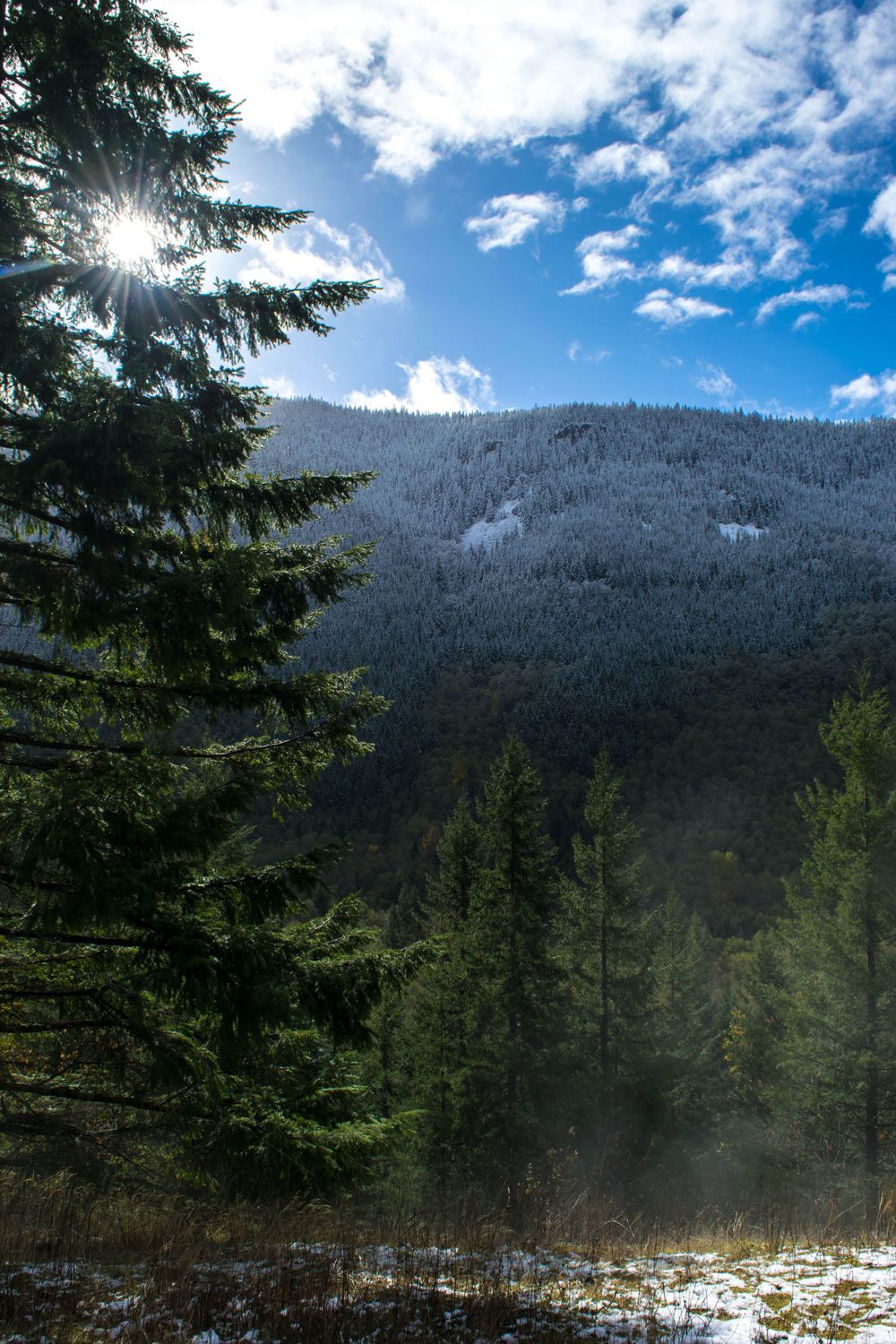 Sunlit mountain landscape with snow-capped peaks and evergreen trees.