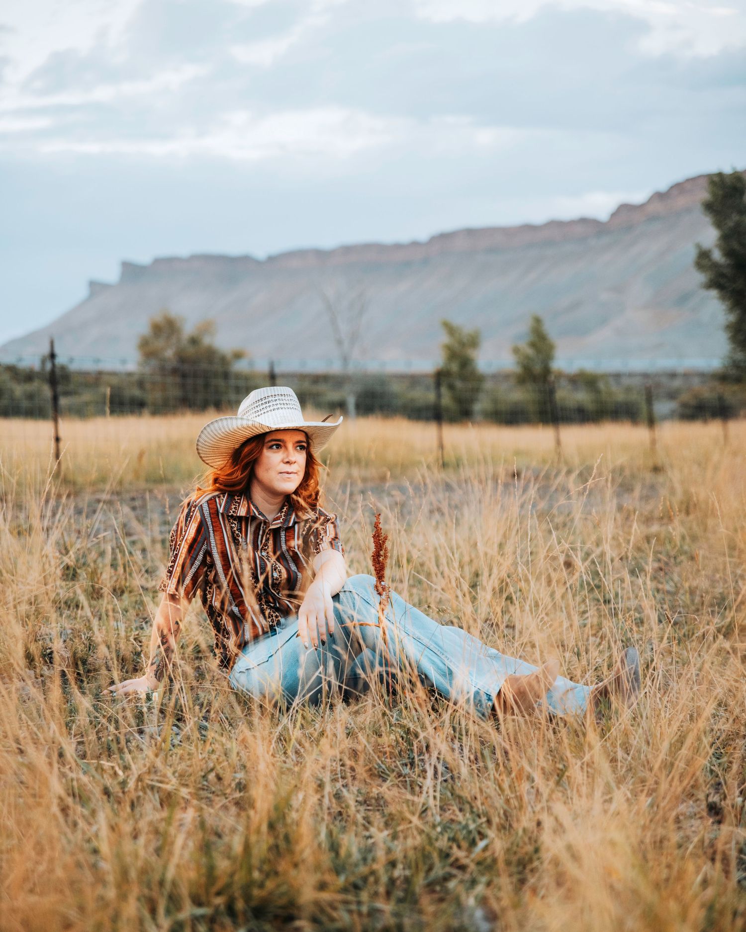Western style photo in tall grass with mountains and blue sky in background.